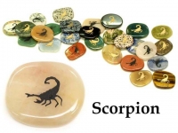 Totem Worry Stone (Scorpion)